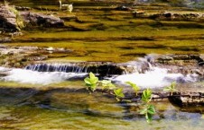 国产春色在线,探寻中国电影中的青春与色彩