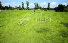 青青青草国产免费